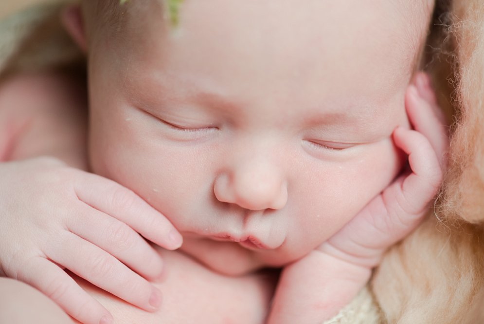 asheboro Newborn Photographer NC Wedding Photographer wedding photos_6315.jpg asheboro Newborn Photographer NC Wedding Photographer wedding photos_6315.jpg