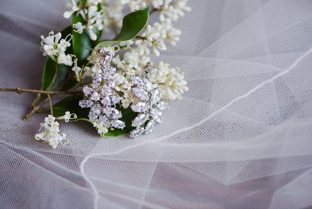 mims house holly springs wedding NC Wedding Photographer wedding photos_6239.jpg