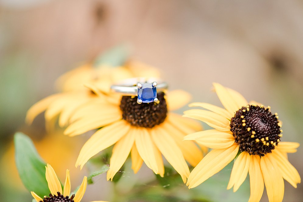 UNCG engagement session Raleigh NC Photographer NC Wedding Photographer wedding photos_7618.jpg