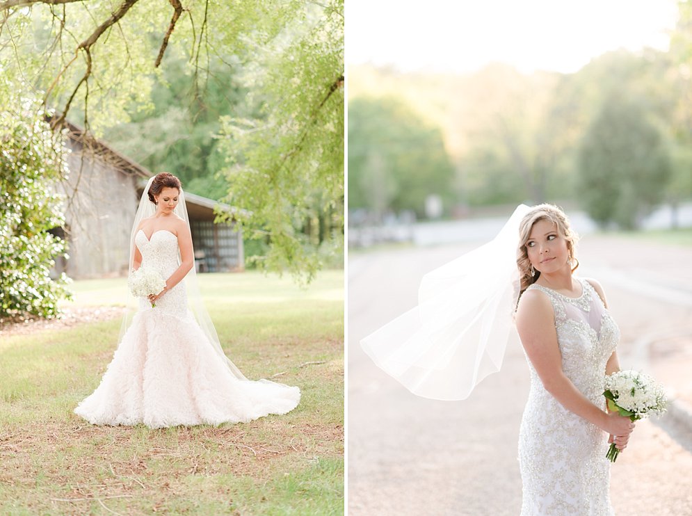 Best of 2016 bridal portraits Raleigh NC wedding photographer_9494.jpg