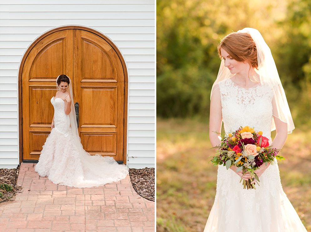 Best of 2016 bridal portraits Raleigh NC wedding photographer_9502.jpg