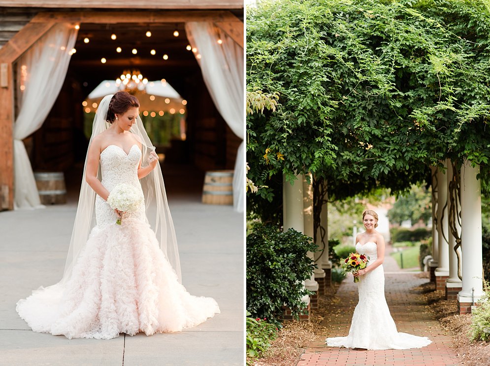 Best of 2016 bridal portraits Raleigh NC wedding photographer_9508.jpg