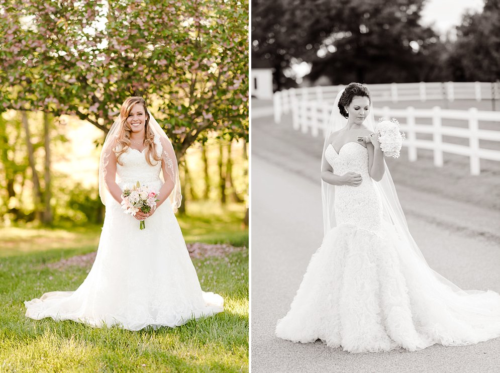 Best of 2016 bridal portraits Raleigh NC wedding photographer_9514.jpg