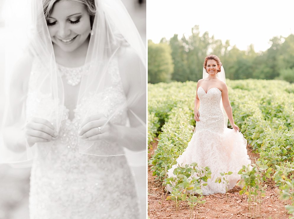 Best of 2016 bridal portraits Raleigh NC wedding photographer_9515.jpg