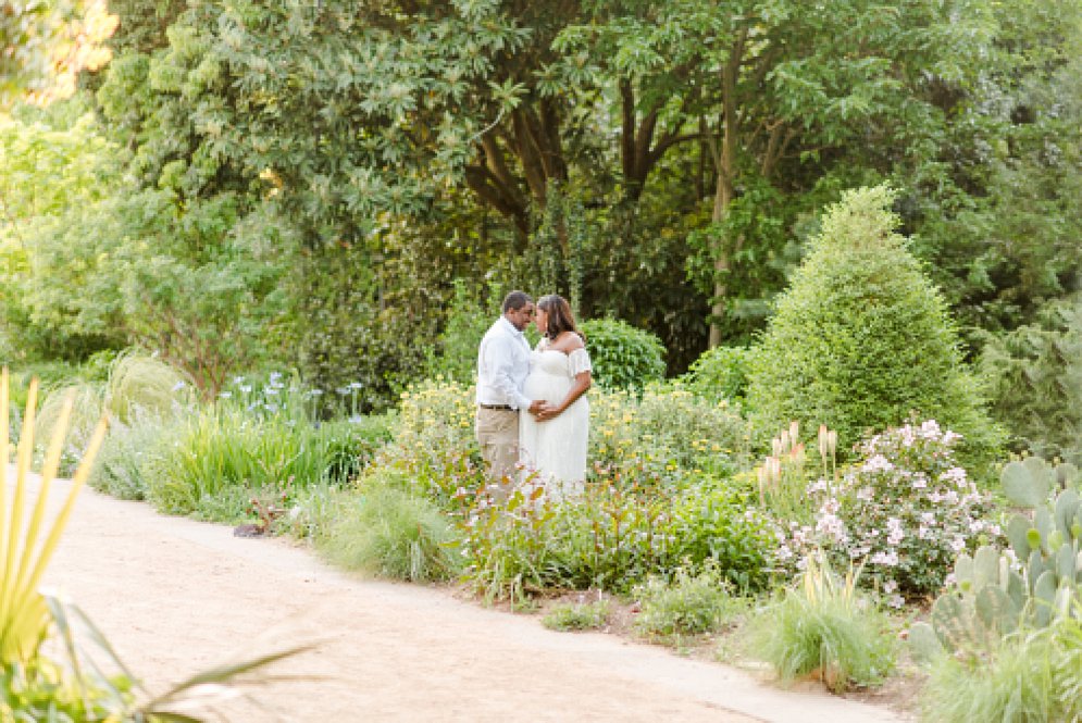 JC Raulston Arboretum maternity photos raleigh nc wedding Charleston SC wedding photographer_6233.jpg